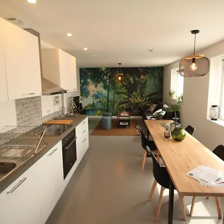 Bienvenue Chez Dalo, Jacuzzi, Art Et Modernite Apartment Altkirch
