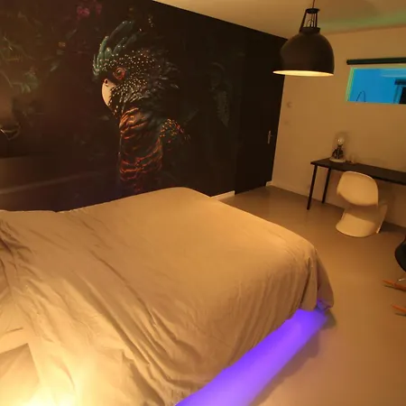 Bienvenue Chez Dalo, Jacuzzi, Art Et Modernite
